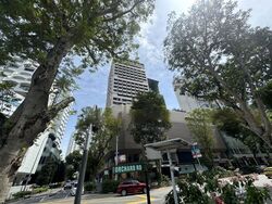 Orchard Towers (D9), Shop House #456041021